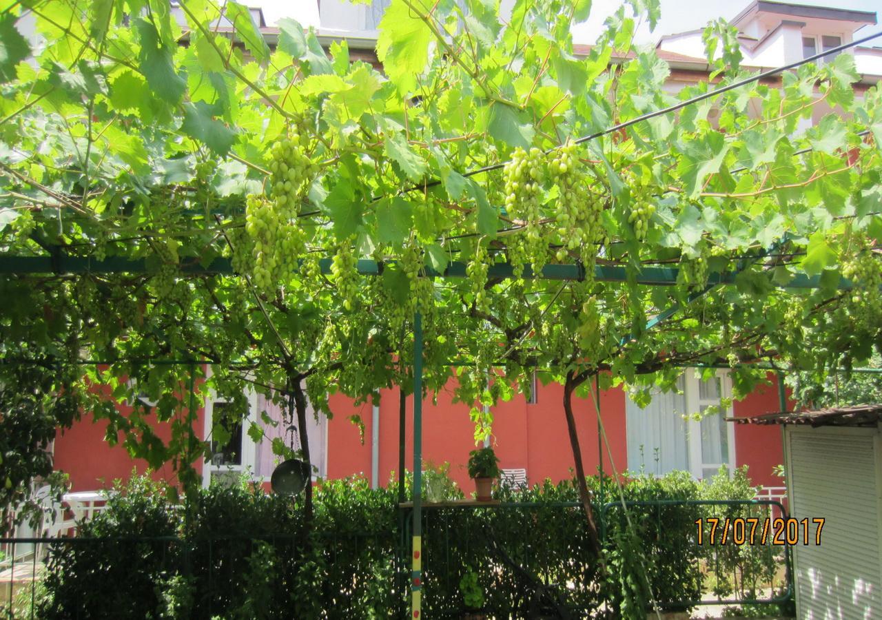 Villa Kosara Άγιος Κωνσταντίνος και Ελένη Εξωτερικό φωτογραφία